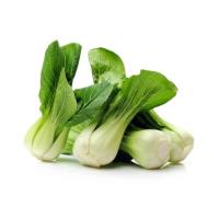 PAK CHOI KG